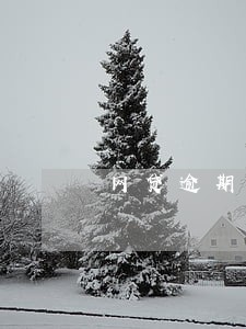 网贷逾期催收爆通讯录发信息 网贷逾期催收爆通讯录发信息