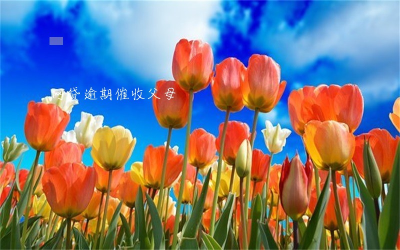 网贷逾期催收父母 网贷逾期催收父母
