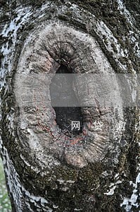 网贷逾期催收电话响几秒就挂 网贷逾期催收电话响几秒就挂