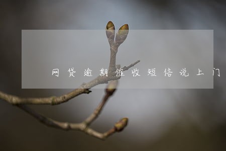 网贷逾期催收短信说上门