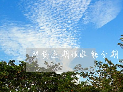 网贷逾期催收能分期 网贷逾期催收能分期