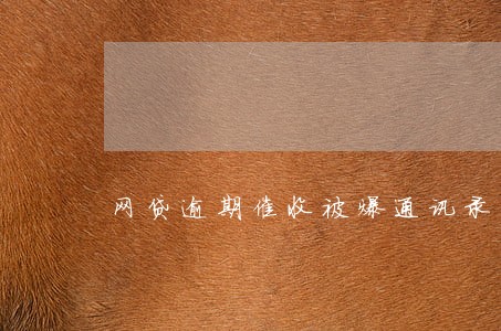 网贷逾期催收被爆通讯录 网贷逾期催收被爆通讯录