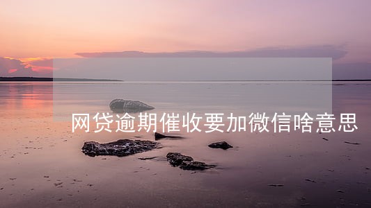 网贷逾期催收要加微信啥意思 网贷逾期催收要加微信啥意思