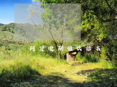 网贷逾期催收话术 网贷逾期催收话术
