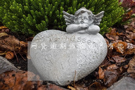 网贷逾期催收说只有他能减免 网贷逾期催收说只有他能减免