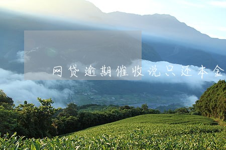 网贷逾期催收说只还本金 网贷逾期催收说只还本金