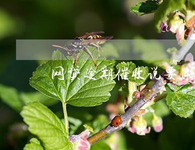 网贷逾期催收说要冻结资产 网贷逾期催收说要冻结资产