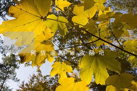 网贷逾期催收贴吧 网贷逾期催收贴吧
