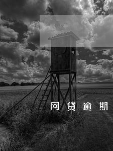 网贷逾期催收费用 网贷逾期催收费用