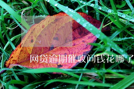 网贷逾期催收问钱花哪了 网贷逾期催收问钱花哪了