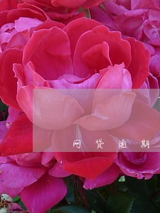 网贷逾期催收问题