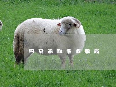 网贷逾期催收骗局 网贷逾期催收骗局