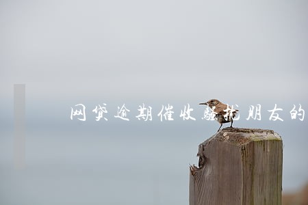 网贷逾期催收骚扰朋友的家人 网贷逾期催收骚扰朋友的家人