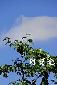 网贷逾期催款严重 网贷逾期催款严重