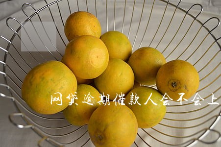 网贷逾期催款人会不会上门 网贷逾期催款人会不会上门