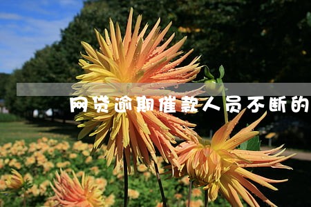 网贷逾期催款人员不断的敲门 网贷逾期催款人员不断的敲门