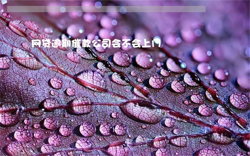 网贷逾期催款公司会不会上门 网贷逾期催款公司会不会上门