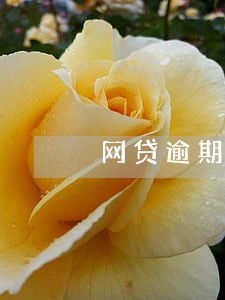 网贷逾期催款公司通知你通讯录 网贷逾期催款公司通知你通讯录