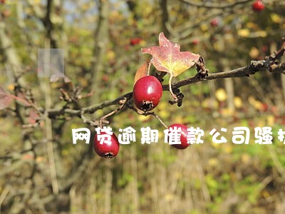 网贷逾期催款公司骚扰你 网贷逾期催款公司骚扰你