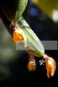 网贷逾期催款受害人