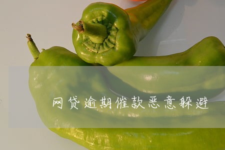 网贷逾期催款恶意躲避 网贷逾期催款恶意躲避