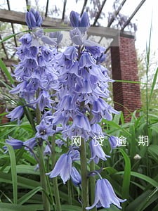 网贷逾期催款法律规定有哪条 网贷逾期催款法律规定有哪条
