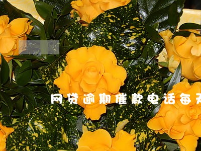 网贷逾期催款电话每天接几个 网贷逾期催款电话每天接几个