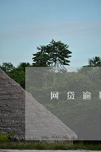 网贷逾期催款电话骚扰