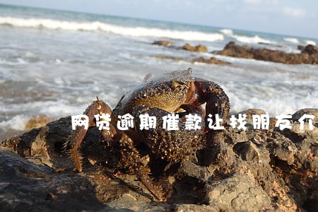网贷逾期催款让找朋友介绍 网贷逾期催款让找朋友介绍