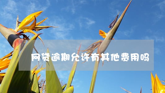网贷逾期允许有其他费用吗 网贷逾期允许有其他费用吗