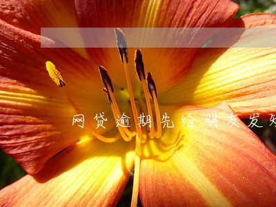 网贷逾期先给朋友发短信 网贷逾期先给朋友发短信