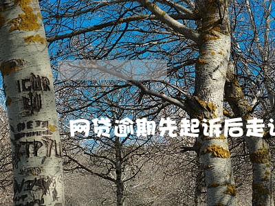 网贷逾期先起诉后走访 网贷逾期先起诉后走访