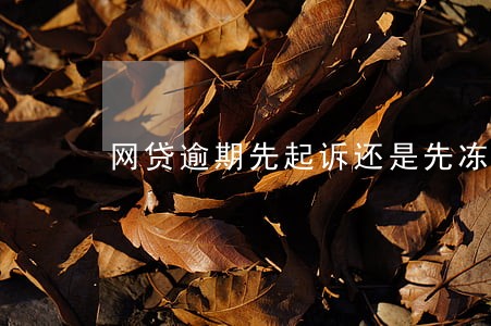 网贷逾期先起诉还是先冻结账户 网贷逾期先起诉还是先冻结账户