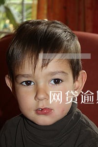 网贷逾期先还了一点