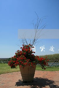 网贷逾期先还本金 网贷逾期先还本金