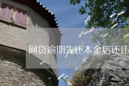 网贷逾期先还本金后还违约金