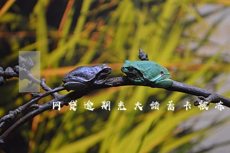 网贷逾期光大储蓄卡被冻结 网贷逾期光大储蓄卡被冻结
