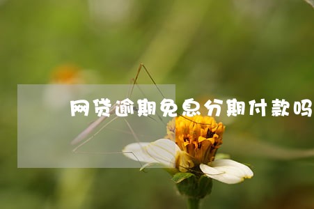 网贷逾期免息分期付款吗 网贷逾期免息分期付款吗
