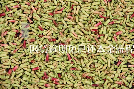 网贷逾期免息还本金流程 网贷逾期免息还本金流程