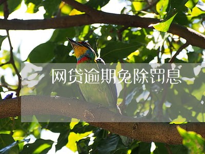 网贷逾期免除罚息 网贷逾期免除罚息