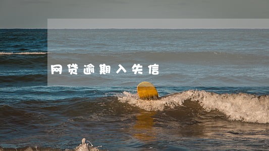 网贷逾期入失信