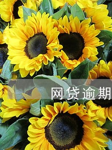 网贷逾期入征信 网贷逾期入征信