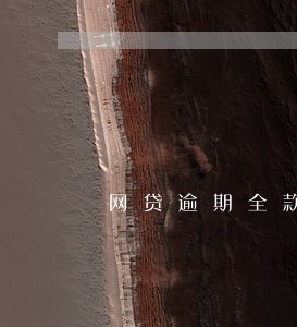 网贷逾期全款买车能上牌吗 网贷逾期全款买车能上牌吗