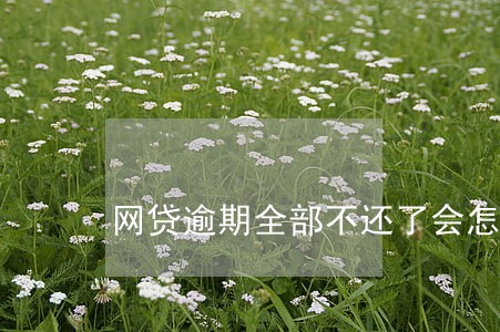 网贷逾期全部不还了会怎样 网贷逾期全部不还了会怎样