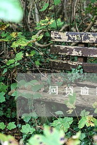 网贷逾期全部处理还能借吗