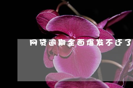 网贷逾期全面爆发不还了 网贷逾期全面爆发不还了