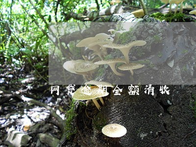 网贷逾期全额清收 网贷逾期全额清收