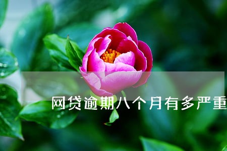 网贷逾期八个月有多严重 网贷逾期八个月有多严重