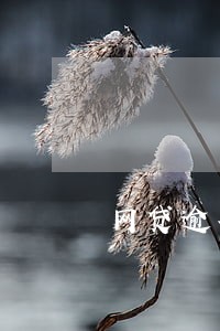 网贷逾期八十万 网贷逾期八十万