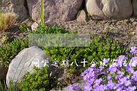 网贷逾期八千会被冻结储蓄卡嘛